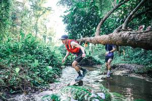 BIB: 
                            <button type="button" onclick="openModal(25431919)" class="btn btn-primary btn-sm float-right btn-popup" data-toggle="modal" data-target=".modal-high-quality">
                        <i class="fas fa-shopping-cart"></i> Add to Cart
                    </button>
                                            <button type="button" onclick="isThisMe(25431919, true)" class="btn btn-success btn-sm float-right btn-popup btn-isme hidden" data-toggle="tooltip" data-placement="bottom" title="นี่คือรูปของคุณใช่ไหม คลิกที่นี่เพื่อเอาเข้าอัลบั้ม">
                        <i class="fas fa-plus"></i> Add to album
                    </button>
                    <button type="button" onclick="isThisMe(25431919, false)" class="btn btn-warning btn-sm float-right btn-popup btn-isnotme hidden">
                        <i class="fas fa-ban"></i> Remove from album
                    </button>